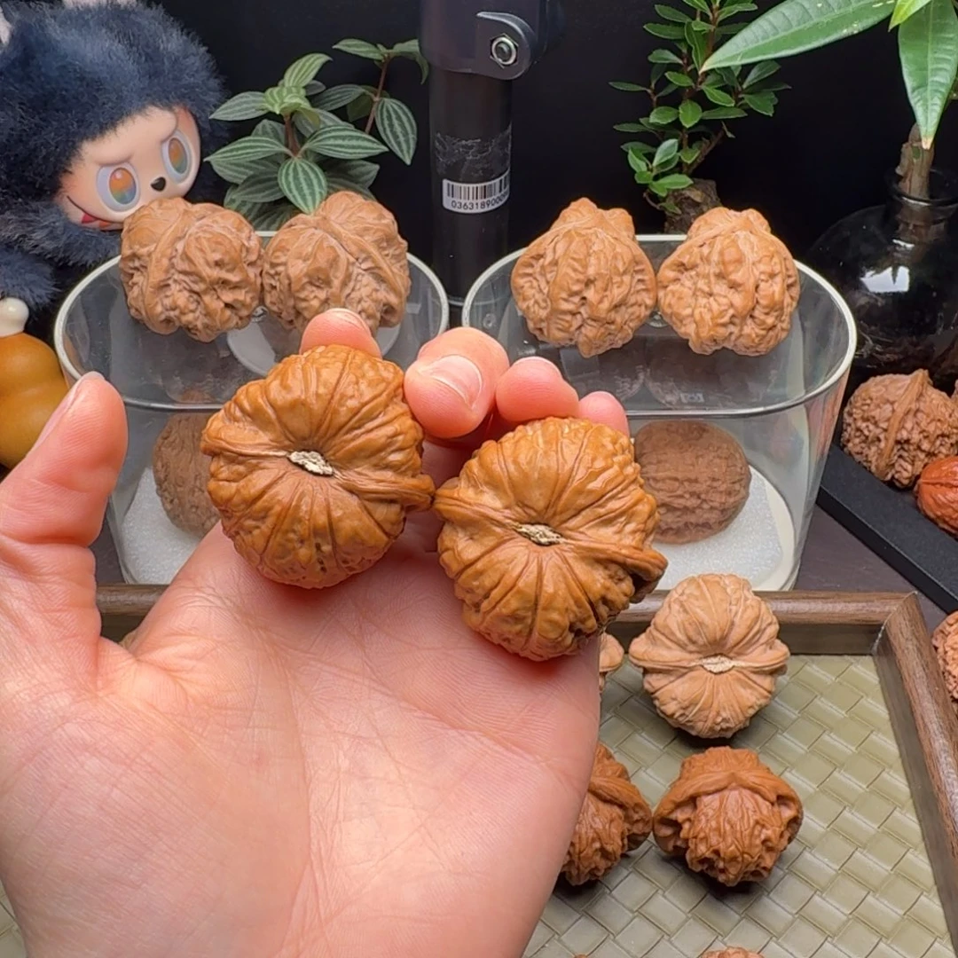 ****熊把件龙脊菩提全品南瓜（回血不支持退货）38