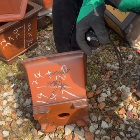 紫砂花盆紫砂花盆盆盆景盆栽