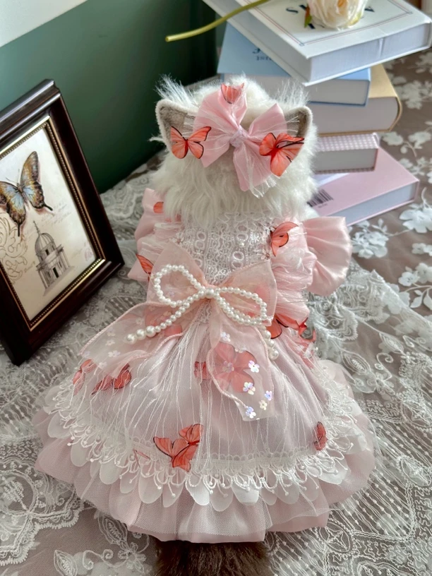 AW立体蝴蝶网纱珍珠小众设计宠物衣服猫咪狗狗衣服聚会上镜仙女款