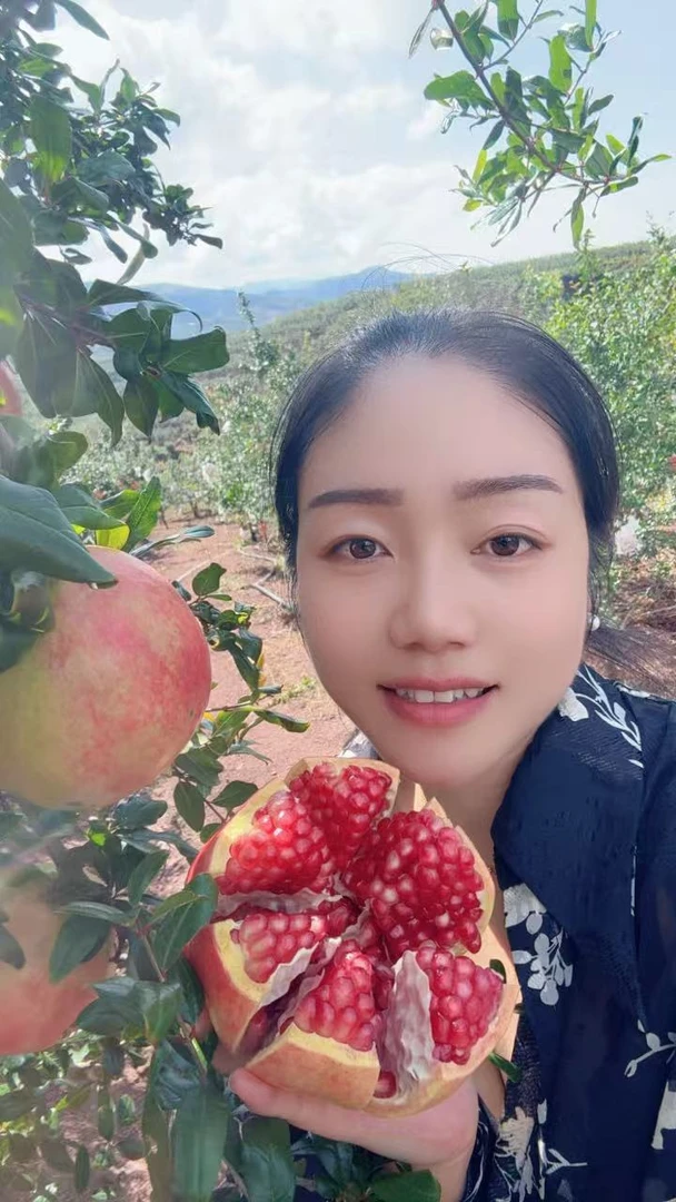 会理突尼斯软籽石榴不吐籽红黑肉水晶甜皮薄应季新鲜孕妇水果批发