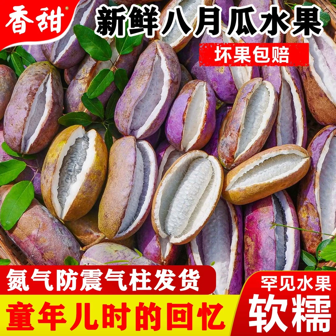 【店长主推大果】贵州八月瓜野果八月炸当季网红水果新鲜预知子包邮