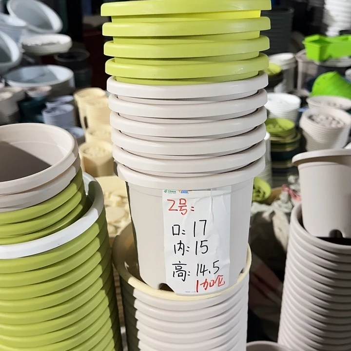 四季2#口径17果绿6个