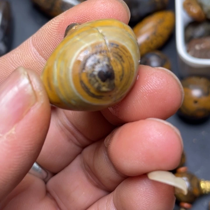 石材纯天然原石奇石56