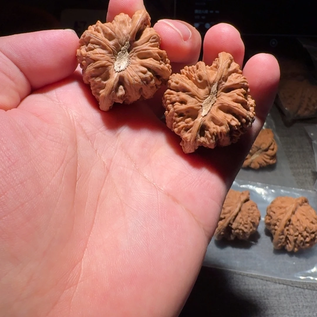 38 尺全品无修凹底石膏脐密纹