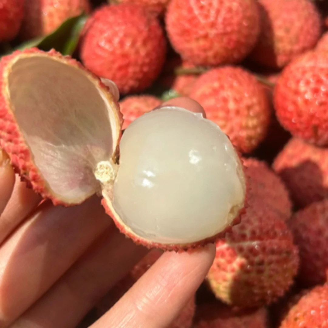 【当季美味】正宗广东桂味荔枝一箱2—4斤广东省