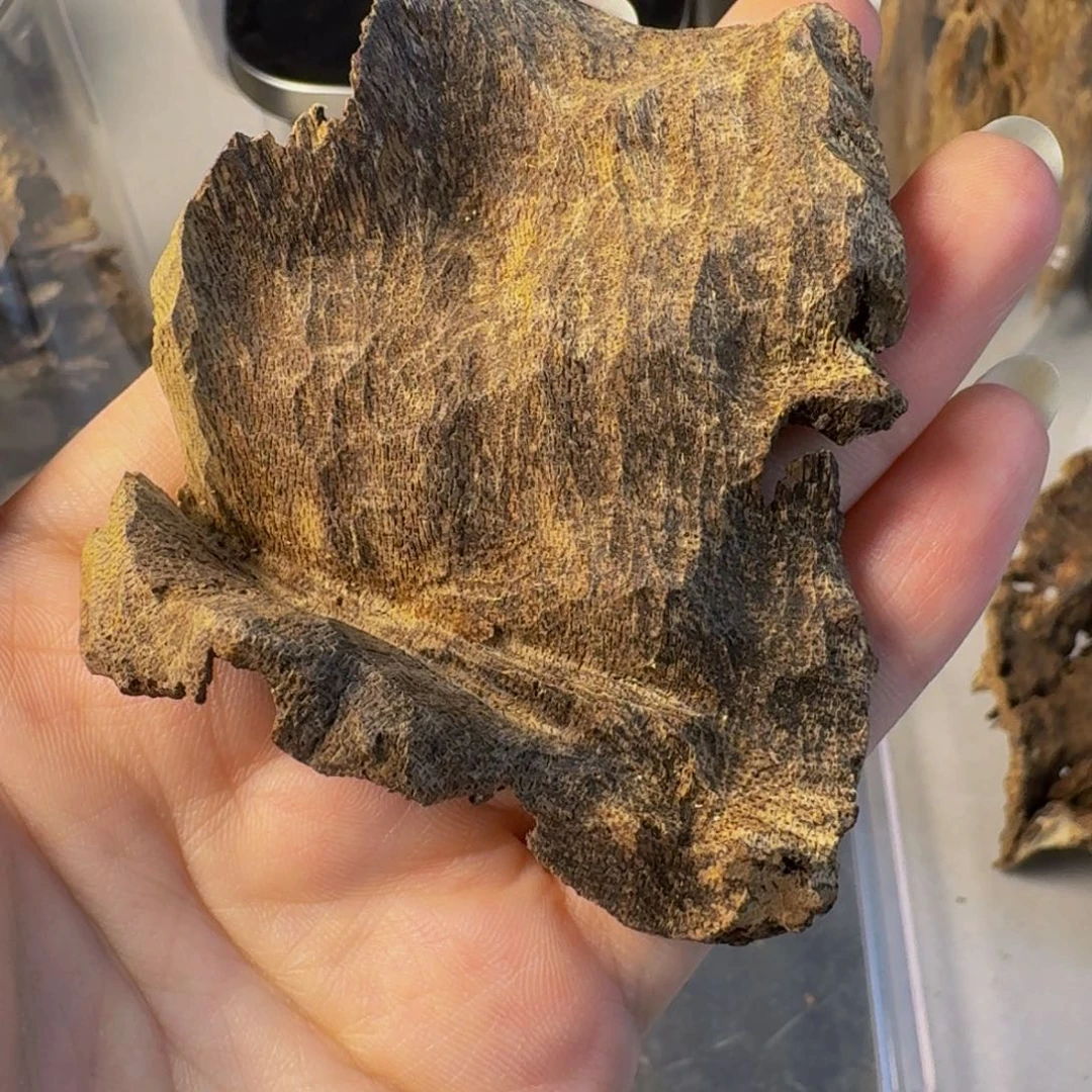 沉香沉香碎屑海南淳化老料10.26克