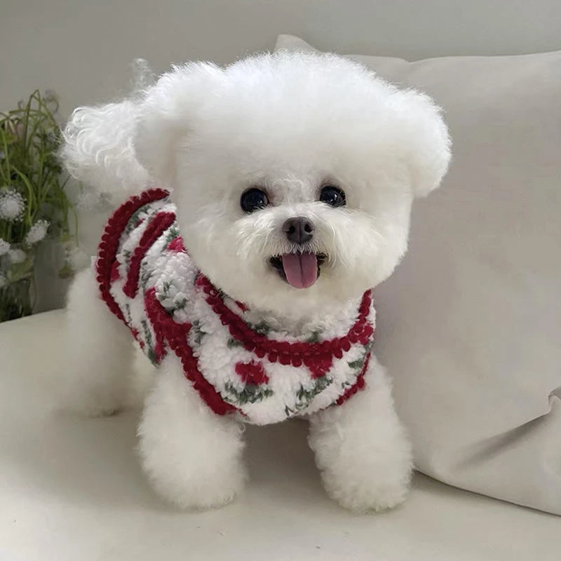 宠物加厚保暖棉马甲泰迪比熊小型犬猫咪约克夏博美狗狗衣服秋冬装