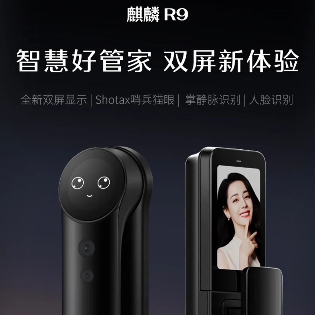 德施曼智能锁麒麟R9