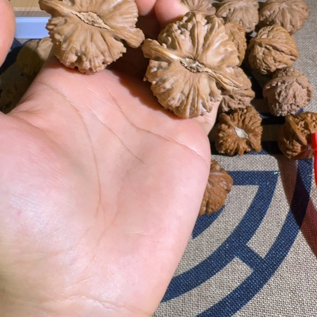 西***人哈哈哈哈哈哈哈哈哈哈哈哈