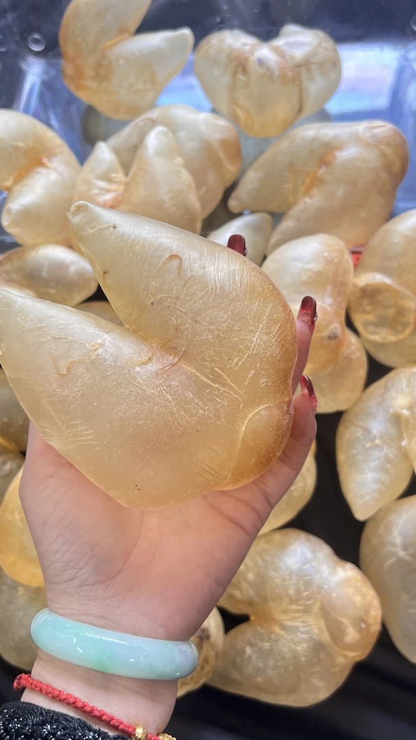 （朱小妹）鸡泡胶.代拍链接