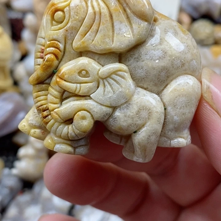颈饰未镶嵌硅化珊瑚（珊瑚玉）