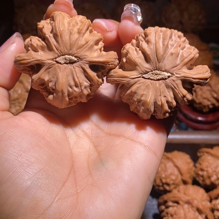 把件文玩核桃48白狮子