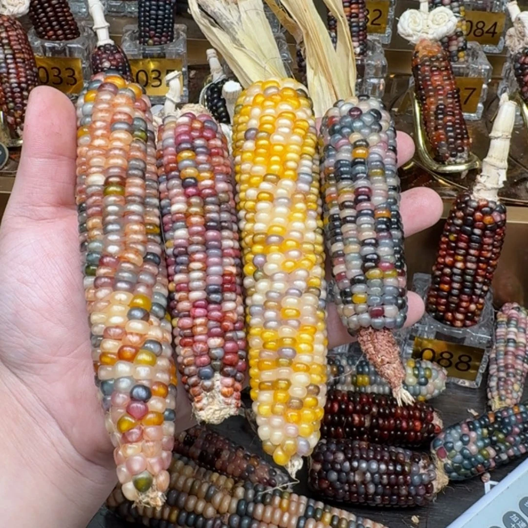 柏香籽/百香籽吊坠私*