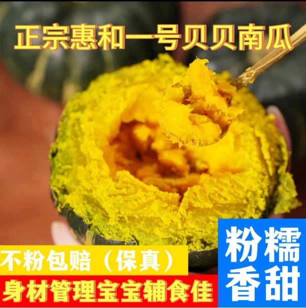 【水瓜包赔】正宗惠和一号贝贝南瓜身材管理宝宝辅食粗粮代餐板栗味