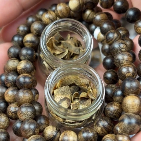 沉香碎屑沉香老*友越南芽庄白奇