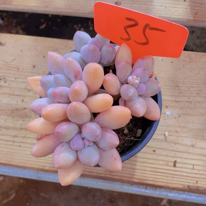 这么久不回来吗怎么