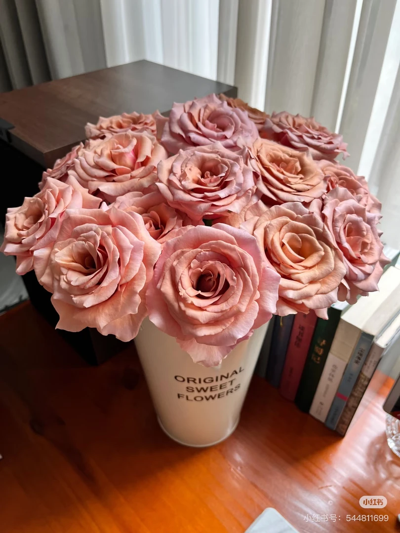 【好物鲜花】A莫泊10支 两单包邮发顺丰