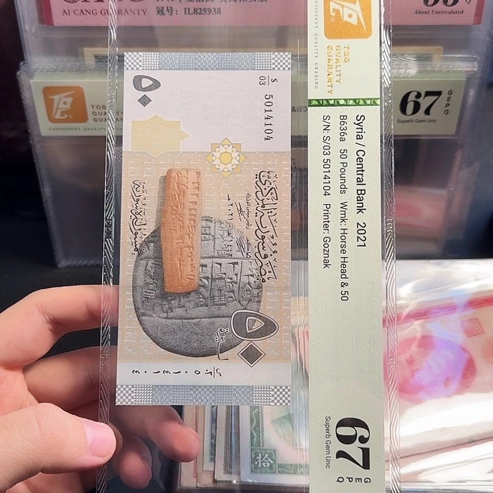 有单拍，TQG中外合资评级币