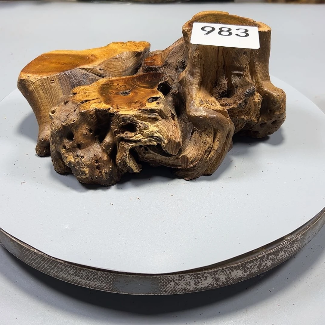 大果紫檀（缅甸花梨）用****2