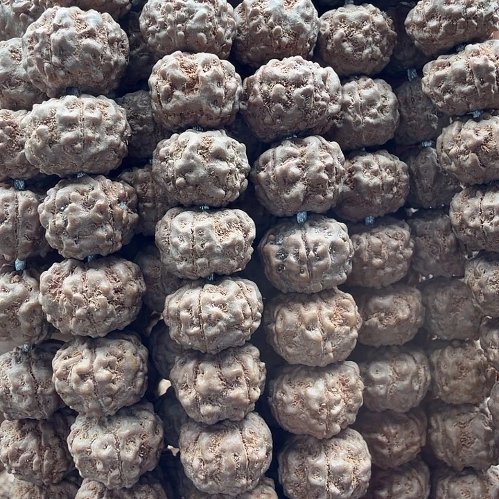 金刚菩提吊坠平细11.5-12