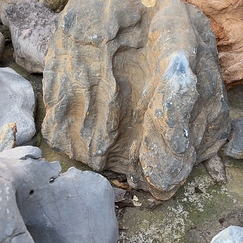 无花朵一****q家居装修效果图