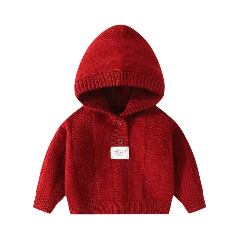 毛衣冬季儿童幼儿小童休闲风带帽连帽开衫毛衣针织衫宝宝秋冬洋气