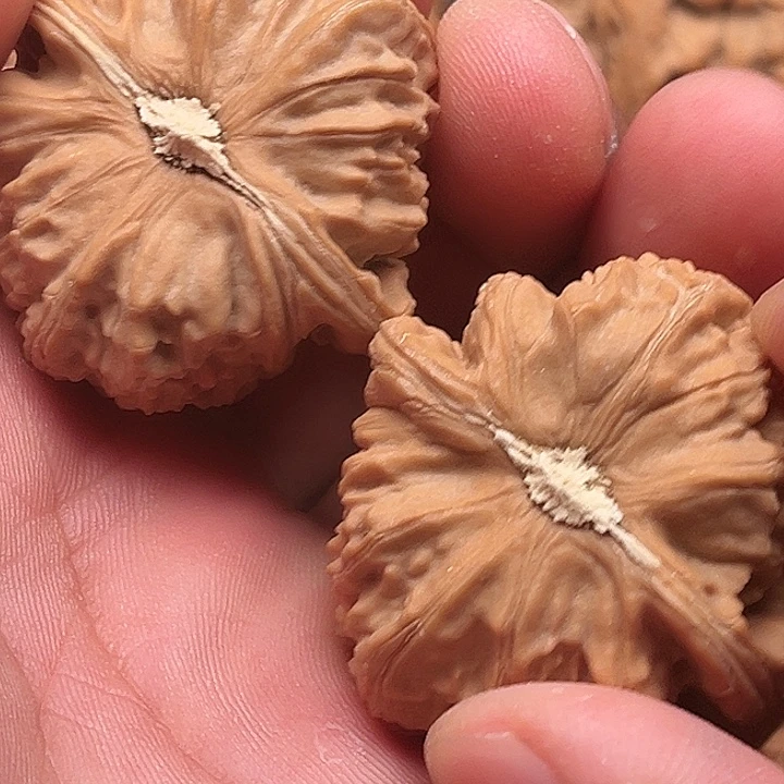 N***o文玩核桃把件三角