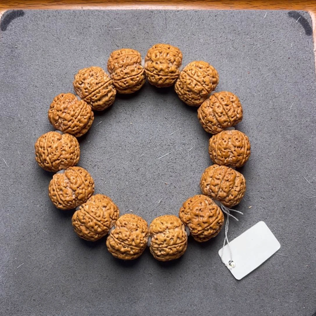 菩提2号金刚菩提梁梅花20