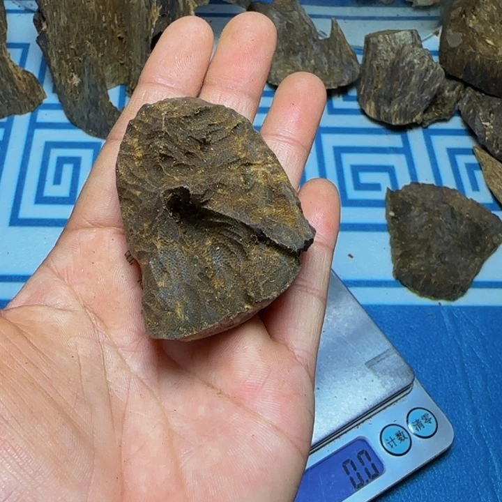 木母树紫奇包头18克