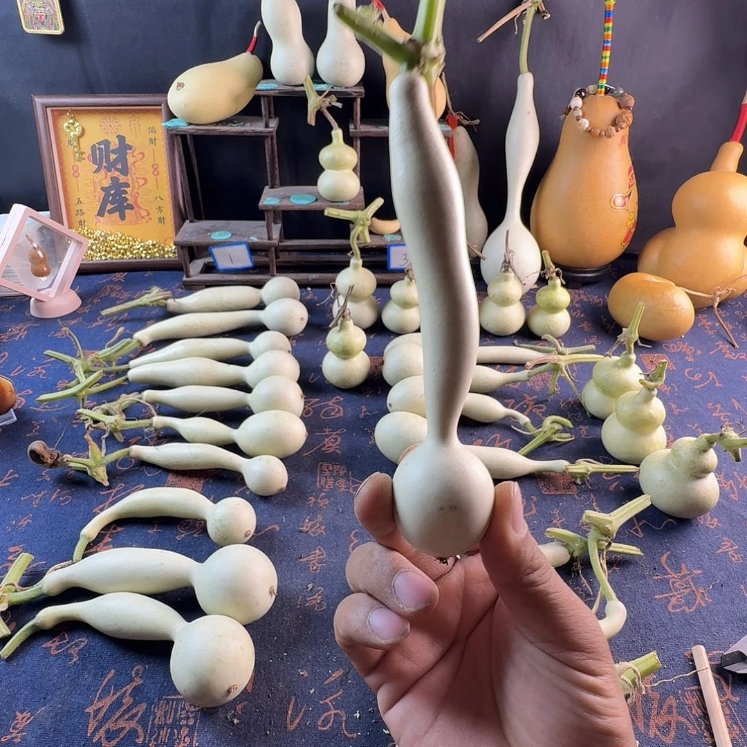 E***n葫芦葫芦真的好好看