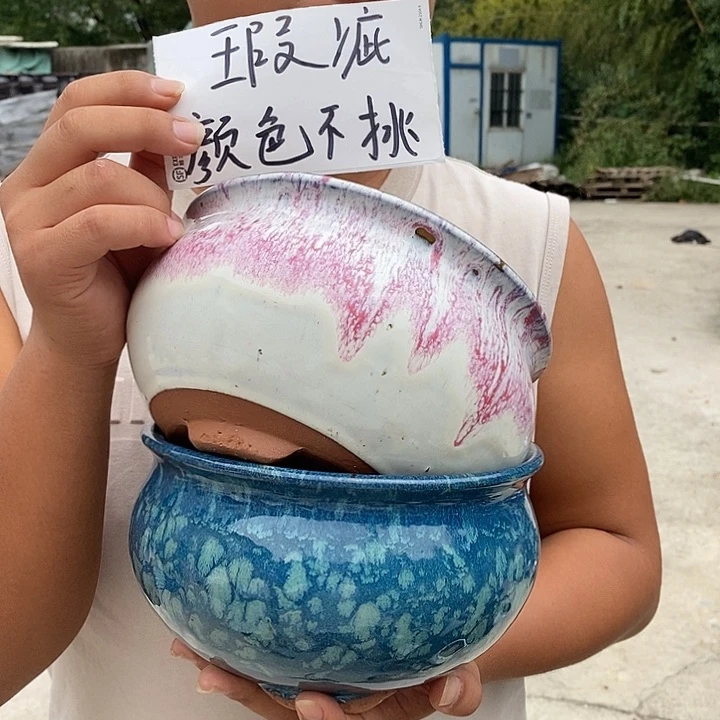 瑕疵颜色不挑瑕疵