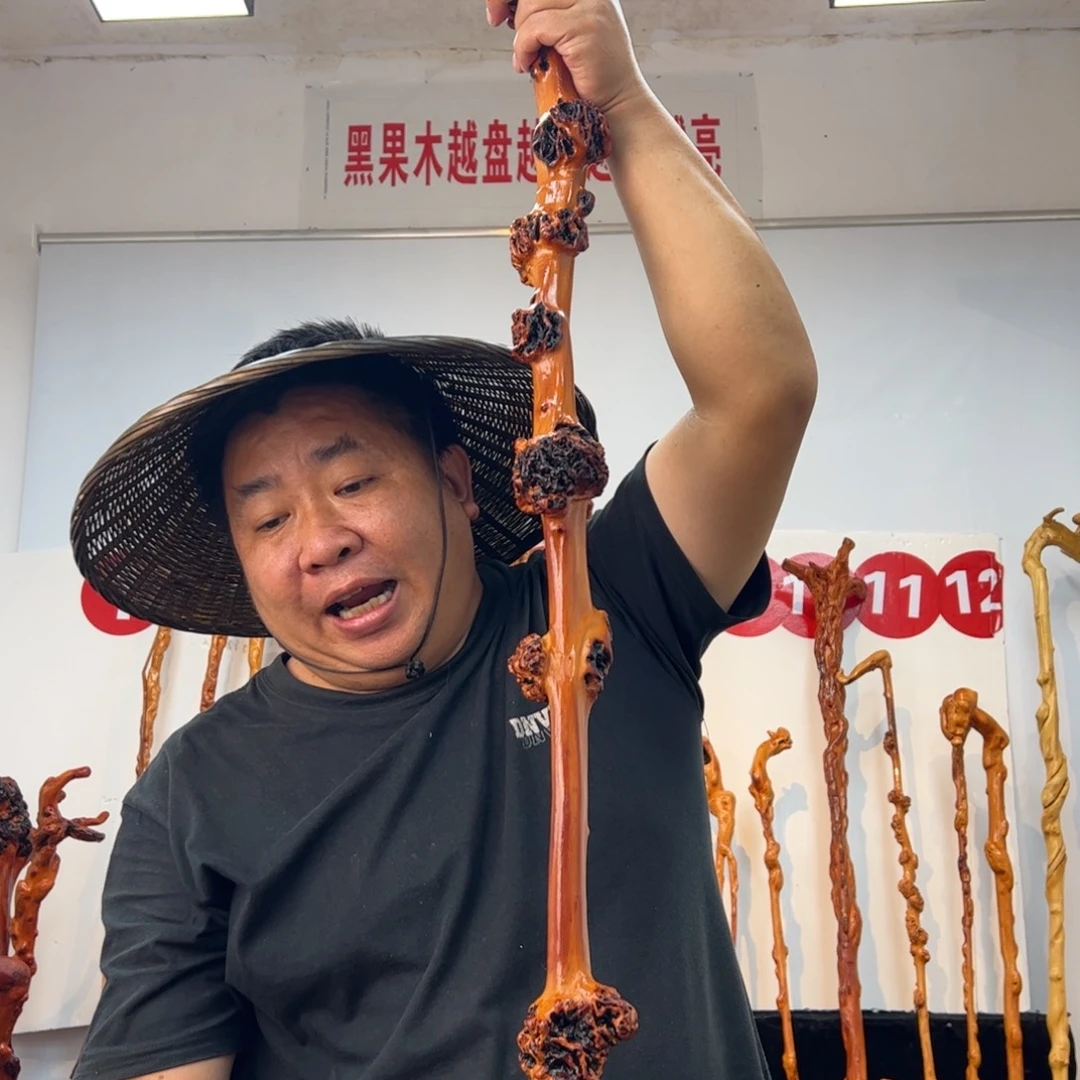 李***京黑果木其他黑果木601