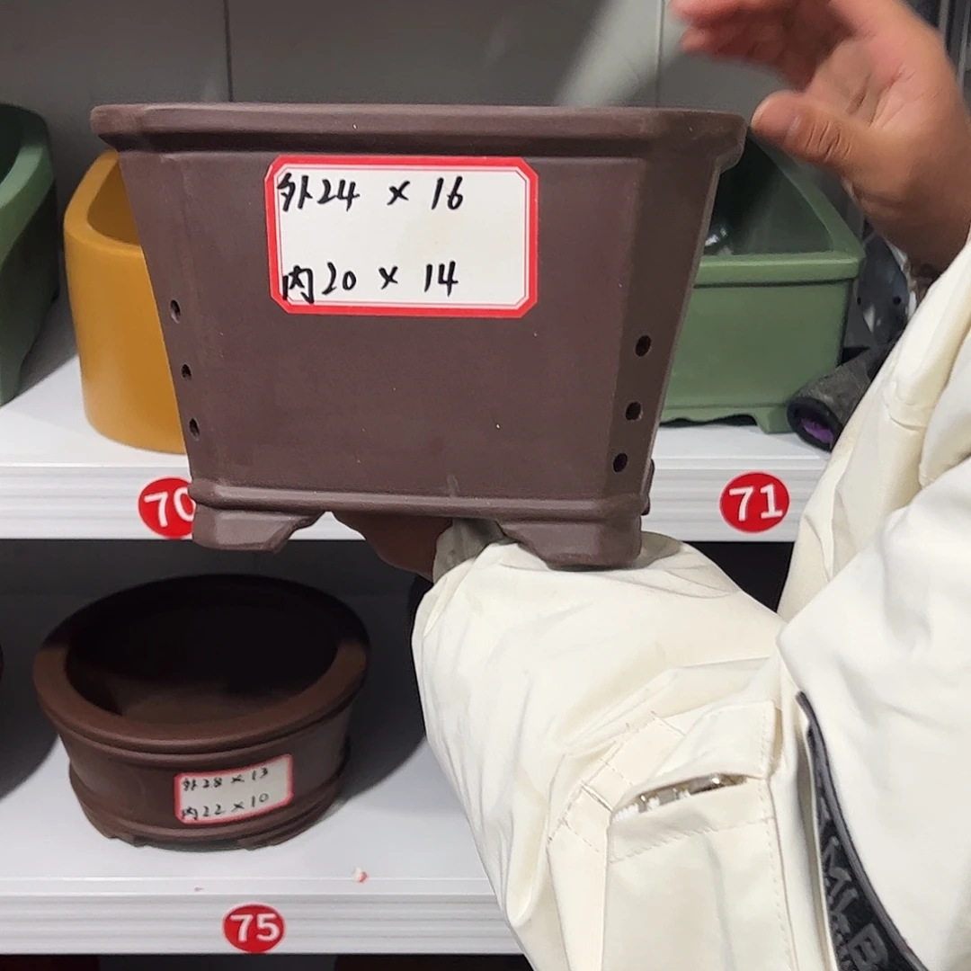 紫砂其他紫砂花盆