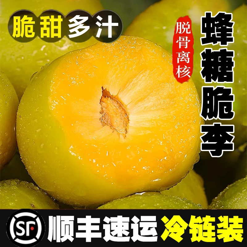 【老树专选】正宗蜂糖脆李脱骨李顺丰冷链新鲜应季水果冰糖李3斤