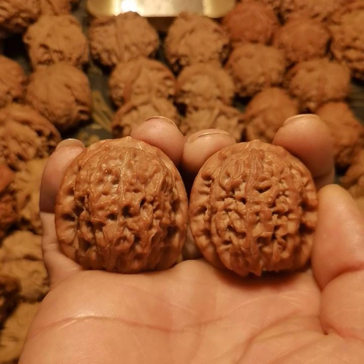 专***！文玩核桃吊坠血麒麟