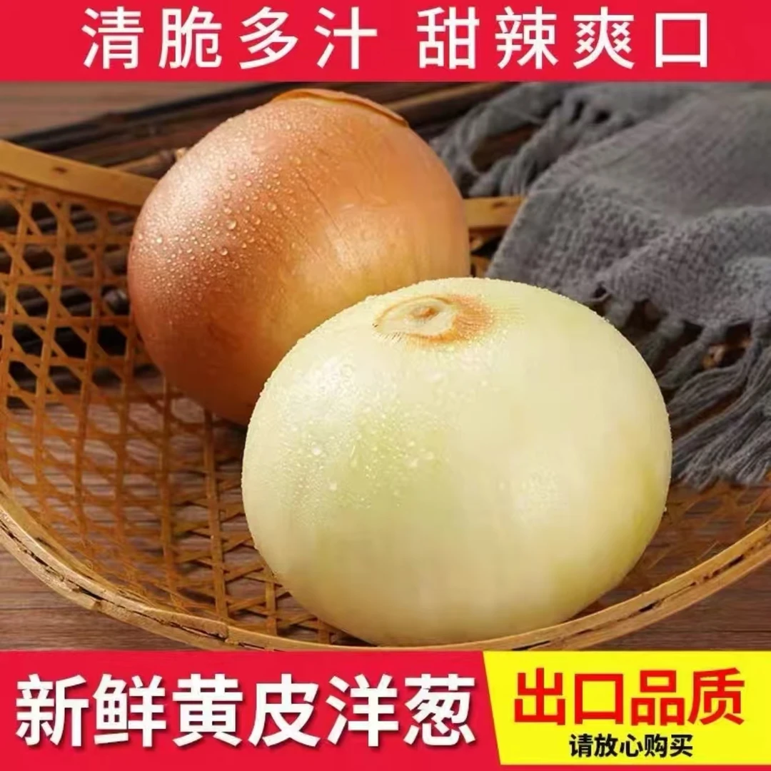宁夏特产新鲜黄皮洋葱白肉脆甜当季蔬菜水果