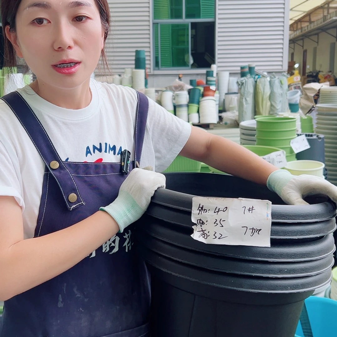 青山盆7#黑色5个无托