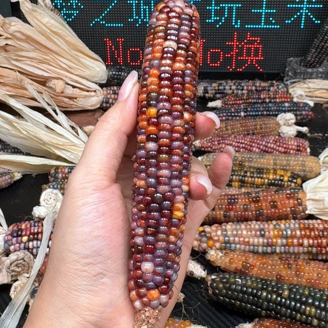 柏香籽/百香籽吊坠?****鱼