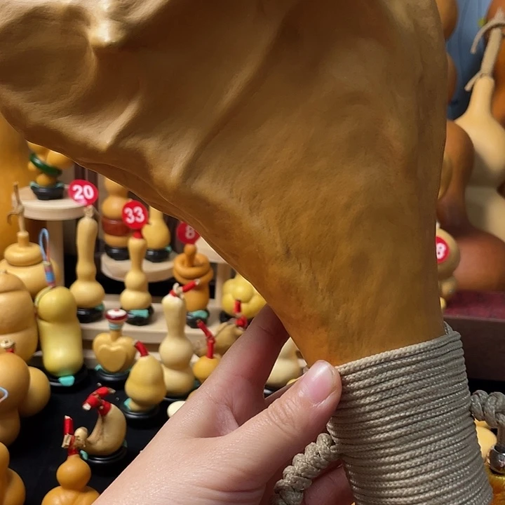 用***5葫芦丝和音乐也可以在