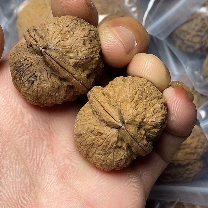 把件文玩核桃云南铁核桃12