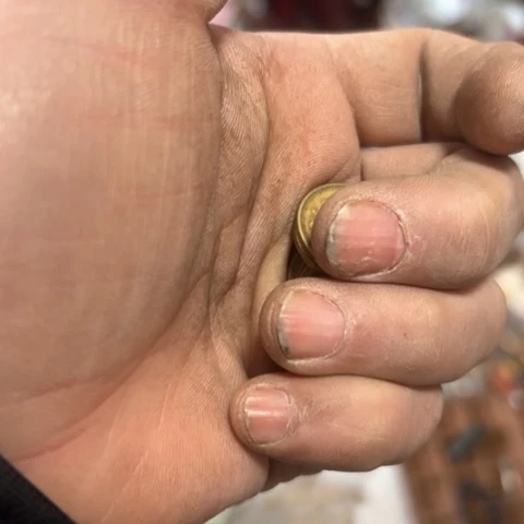 核桃木/黑胡桃（胡桃木）?*W