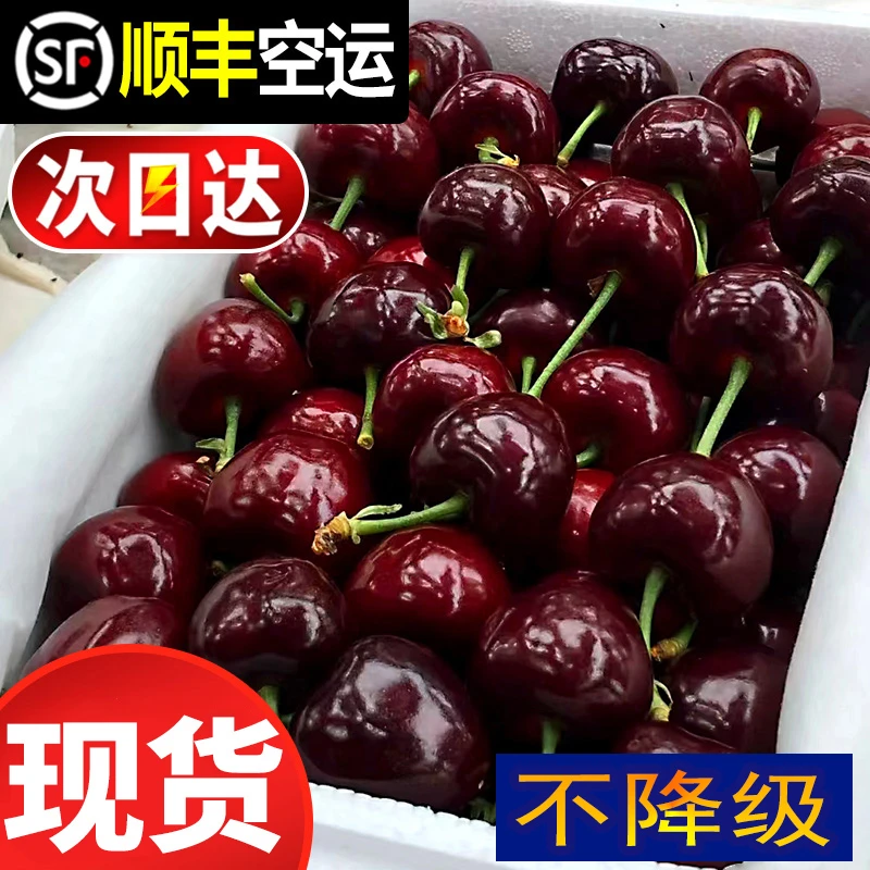 4J特大果进口车厘子J-4J级黑珍珠品种 孕妇水果1-5斤樱桃顺丰空运