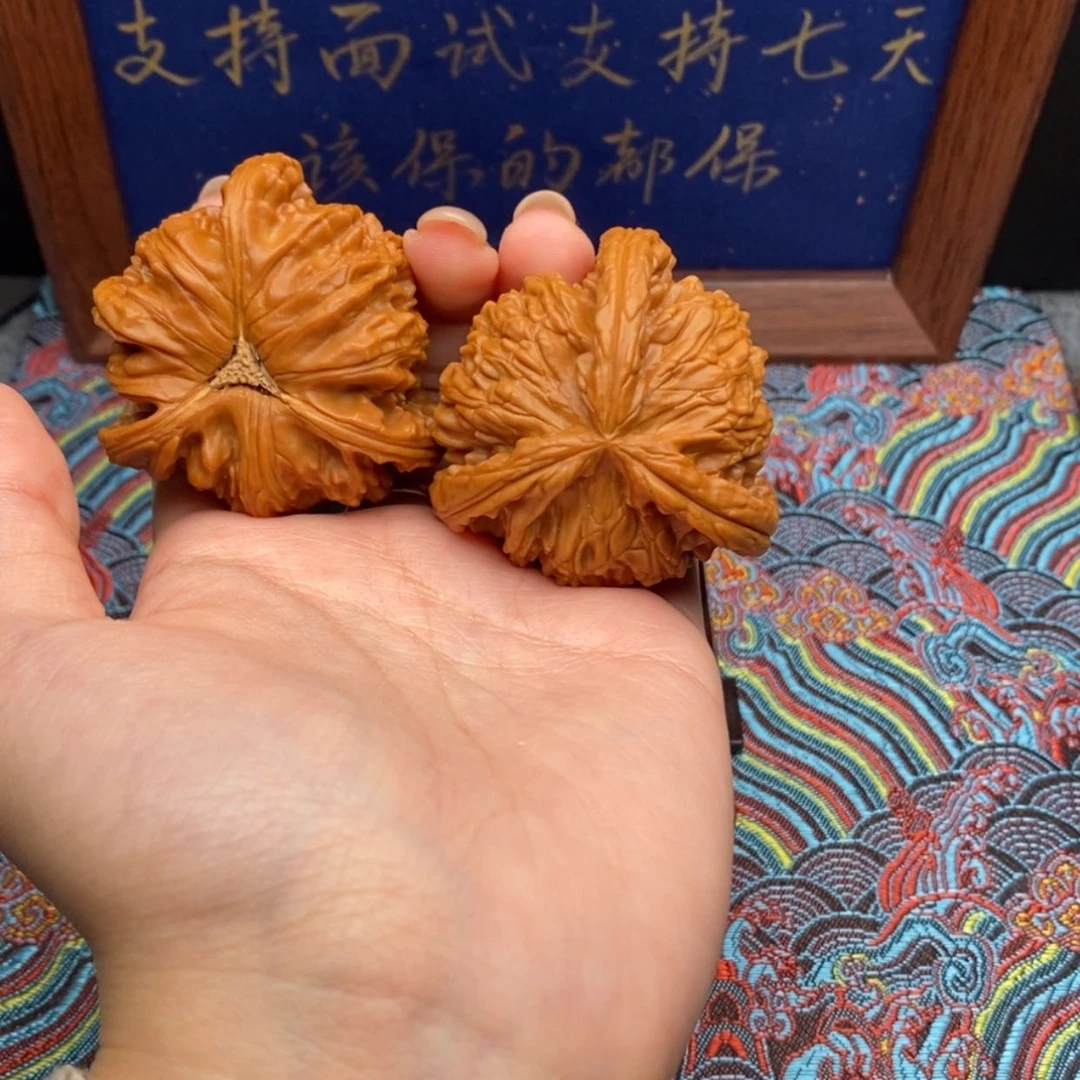 【闪购商品】反**击白狮