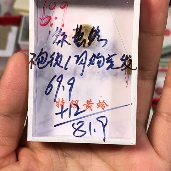 Y***7蟋蟀333333333333333
