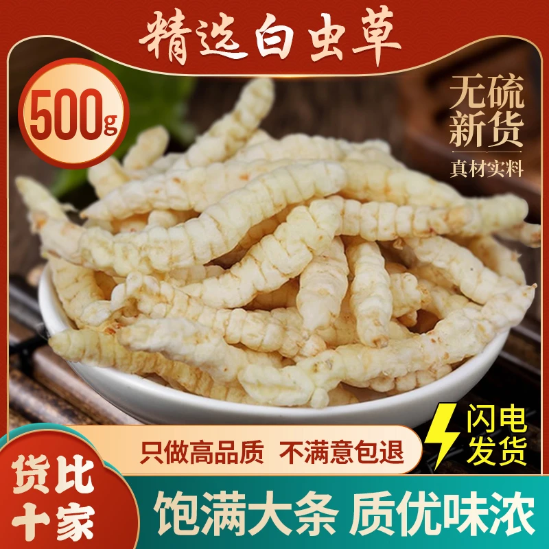 高原〖雪山白虫草〗 300g 阿涛专属a