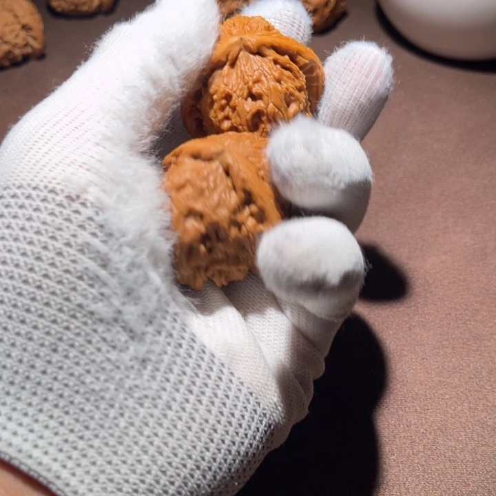 郑**、精品白狮子三角白