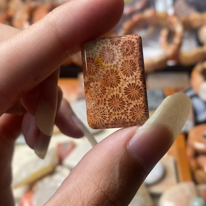 用***7颈饰未镶嵌硅化珊瑚（珊瑚玉）