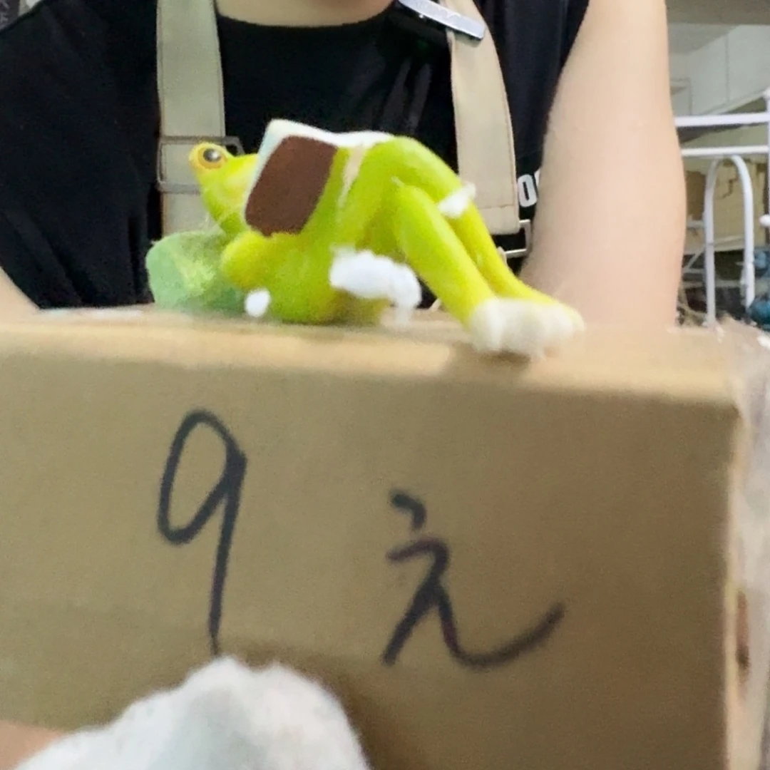 核桃木/黑胡桃（胡桃木）