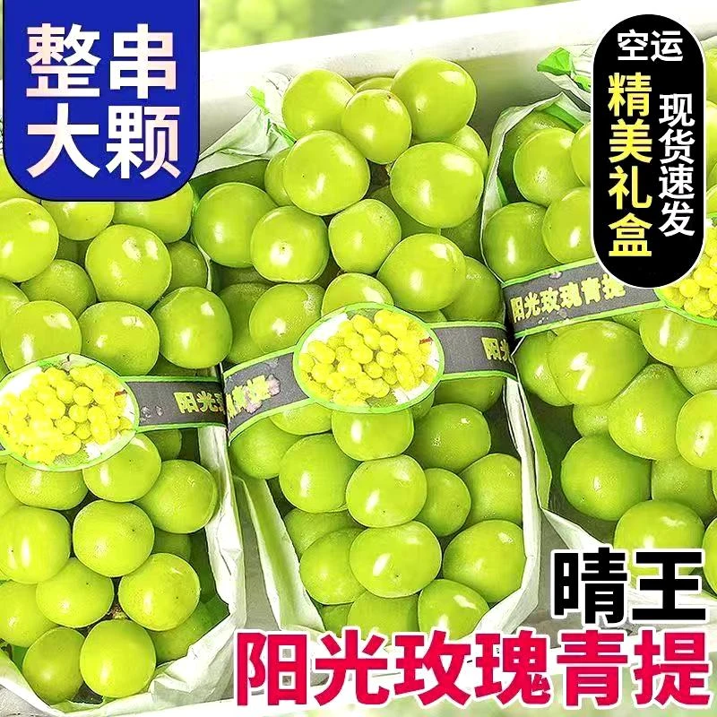 阳光玫瑰青提1500g