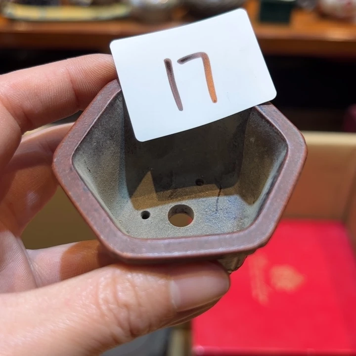 瓷片小*桃你是我老婆17